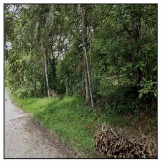 Terreno - Venda, CHA DA TABUA, SAO LOURENCO DA MATA, PE