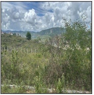Terreno - Venda, CRUZEIRO, GRAVATA, PE
