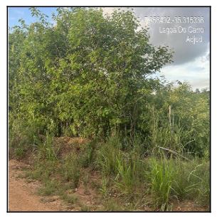 Terreno - Venda, LOTEAMENTO RECANTO C, LAGOA DO CARRO, PE