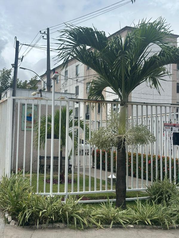 Apartamento - Venda, BARRA DE JANGADA, JABOATAO DOS GUARARAPES, PE